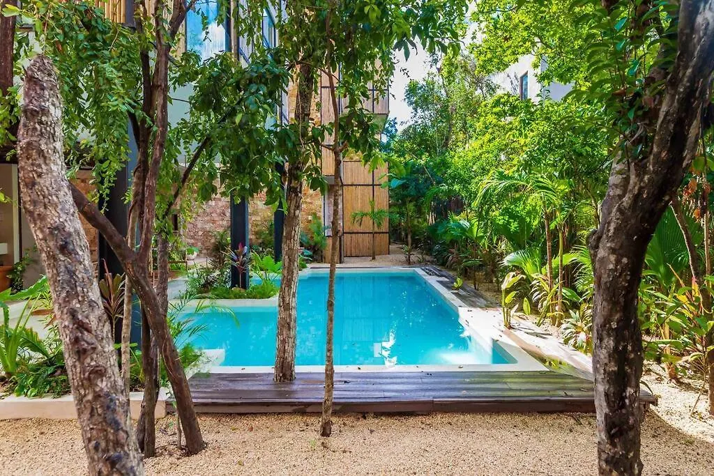 Marquez II Manor Tulum By Sandy Powerful Mexico